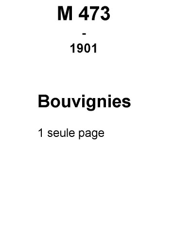 BOUVIGNIES