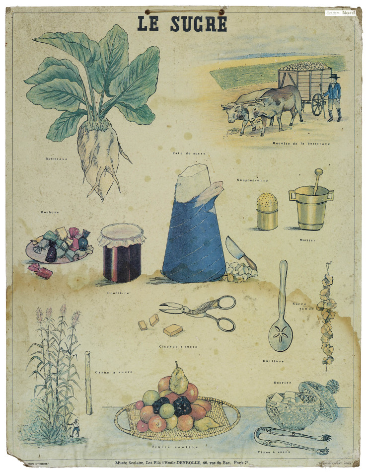 Affiche "Le sucre", Musée scolaire d’Emile Deyrolle