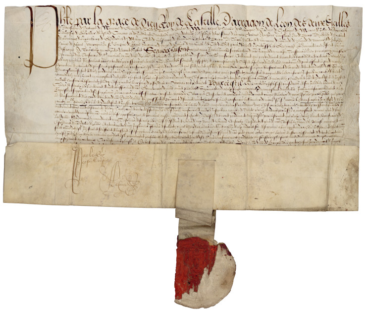 Lettre patente de Philippe II, instituant la confrérie des escrimeurs de Lille en tant que serment, 14 juin 1558.